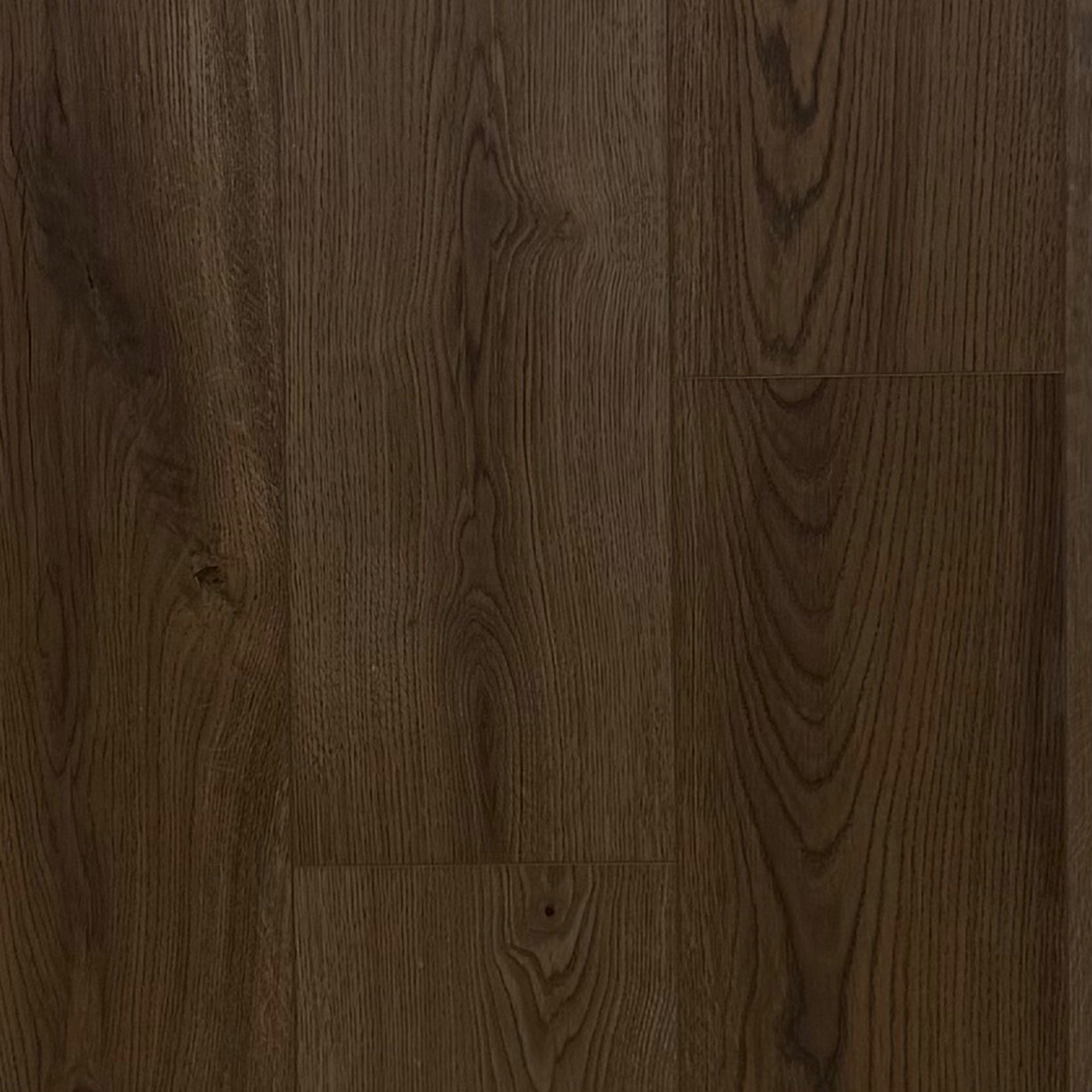 Catach Catalyst - Norwich Brown